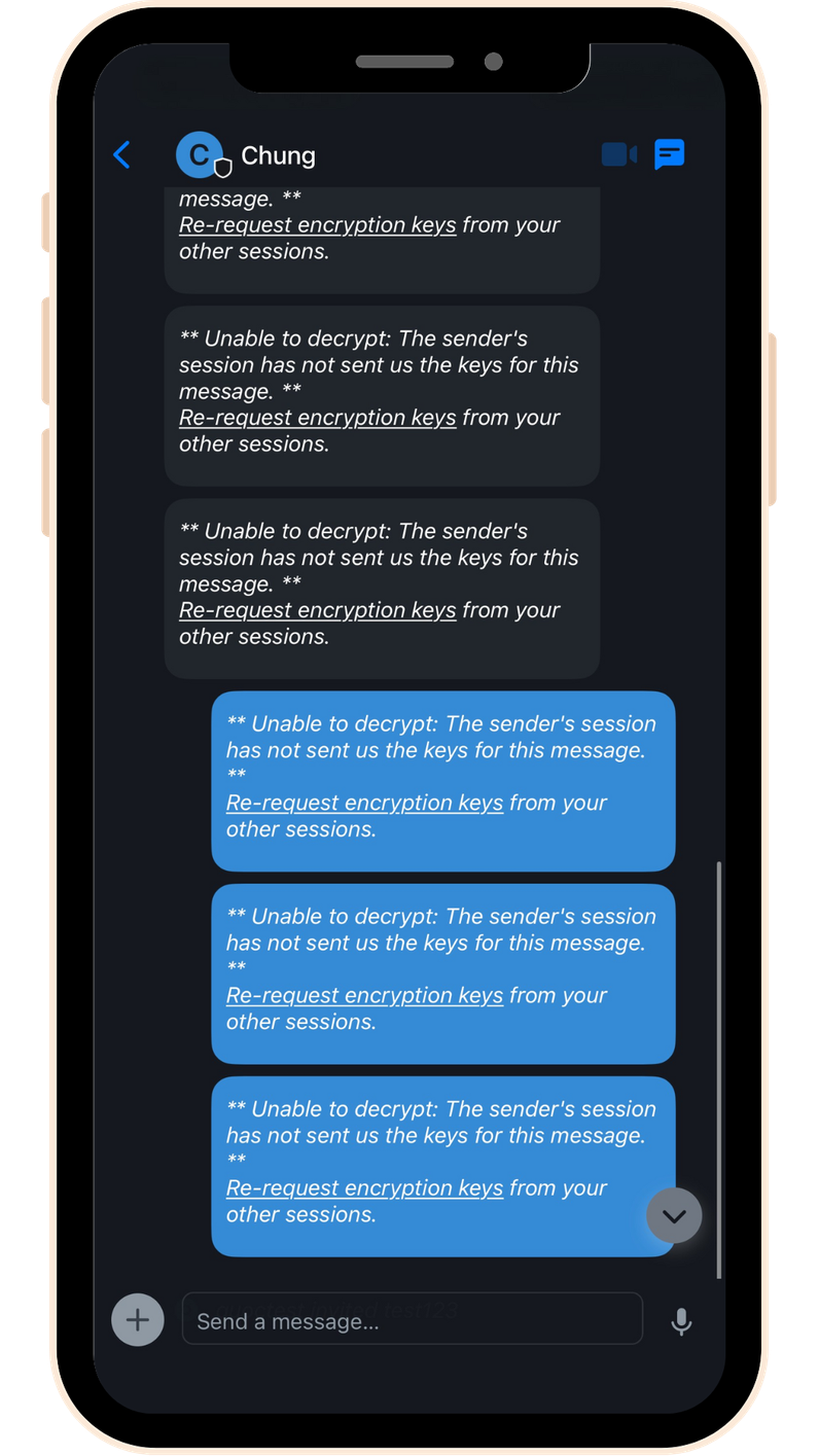 Recovery Key - Soul of encryption